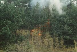 Brand Bienenhaus am Zirlerberg, Höhe Absatzkapelle