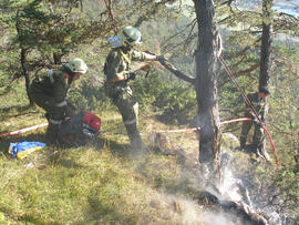 Waldbrand oberhalb Eigenhofen