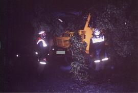 Baum bei Martinsbühel auf LKW gestürzt