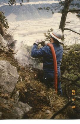 Waldbrand oberhalb Schießstand, Schloßbachklamm