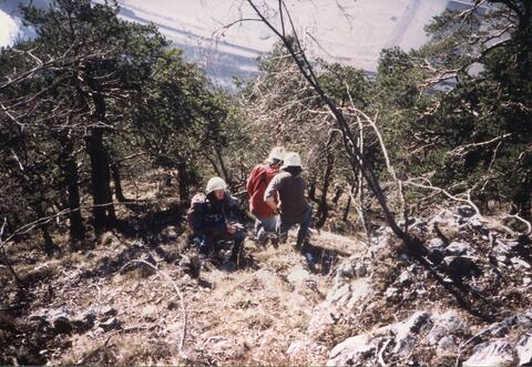 Original digitales Objekt not accessible