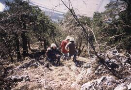 Waldbrand Hechenber, Plattental, 3 Hubschrauber Löscheinsatz