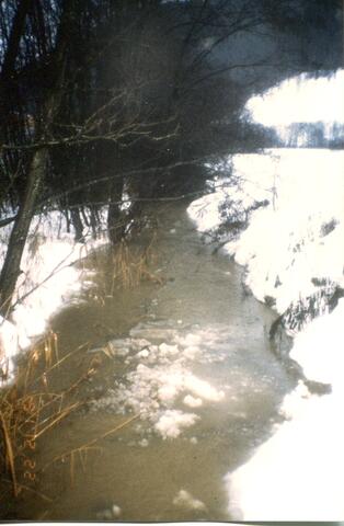 Original digitales Objekt not accessible