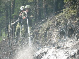 Waldbrand in Hochzirl oberhalb Mittenwaldbahn, Bahnkilometer 13,9