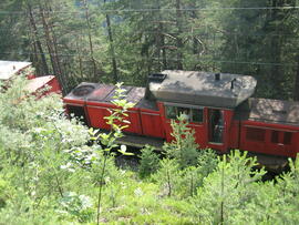 Waldbrand in Hochzirl oberhalb Mittenwaldbahn, Bahnkilometer 13,9