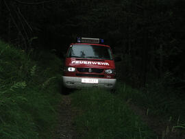 Waldbrand im Bereich Kaiserstand durch Blitzschlag