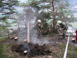 Waldbrand im Bereich Martinswand