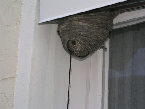 Original digitales Objekt not accessible