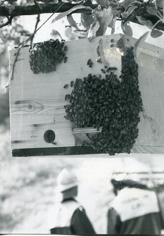 Original digitales Objekt not accessible