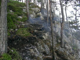 Waldbrand im Berich des Kleinen Hochwandkopf, Hubschraubereinsatz, Hilfeleistung durch FF Kematen