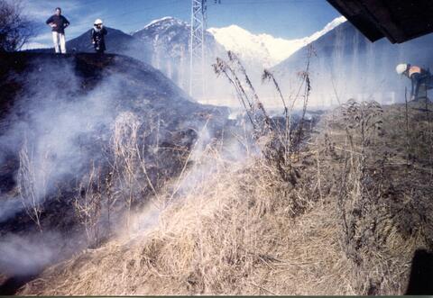 Original digitales Objekt not accessible