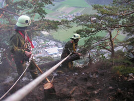 Waldbrand im Bereich Martinswand