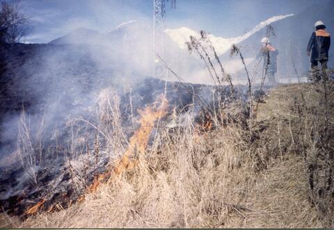 Original digitales Objekt not accessible