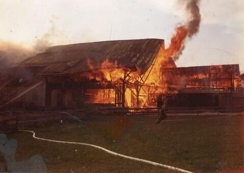 Original digitales Objekt not accessible