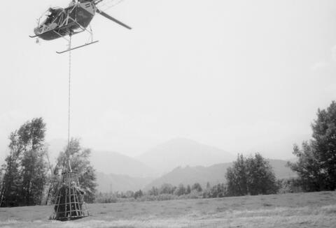 Original digitales Objekt not accessible