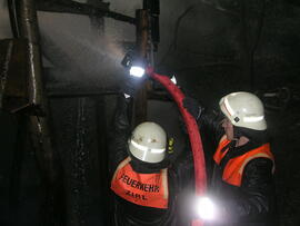 Brand einer Baumhütte in der Moosscheibe