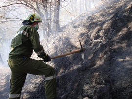 Waldbrand in der Kranebitter Klamm