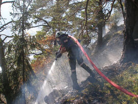 Waldbrand oberhalb Eigenhofen