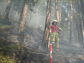 Waldbrand in Hochzirl oberhalb Mittenwaldbahn, Bahnkilometer 13,9