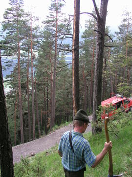 Waldbrand Hochzirl