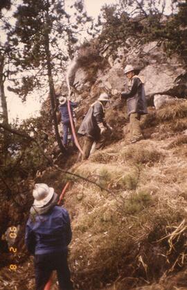 Waldbrand oberhalb Schießstand, Schloßbachklamm