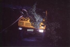 Baum bei Martinsbühel auf LKW gestürzt