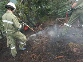 Waldbrand am Hechenberg, Finstertalegg