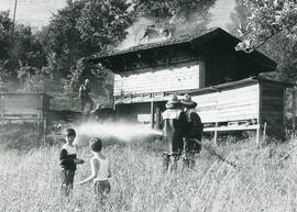 Brand eines Bienenhauses beim Schloßhäusl