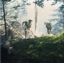 Waldbrand oberhalb der Martinswand, Hubschraubereinsatz