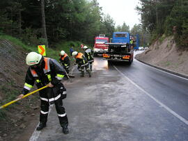 Klein-LKW bei Talfahrt gegen die Böschung gefahren, B177, KM4,4