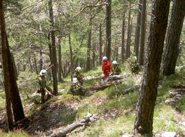 Nachlöscharbeit, Hechenberg, Finstertalegg, Kleiner Hochwandkopf, Hubschraubereinsatz,