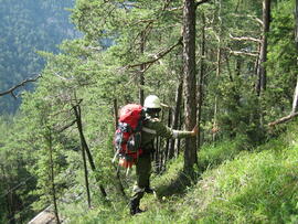 Waldbrand in Hochzirl oberhalb Mittenwaldbahn, Bahnkilometer 13,9