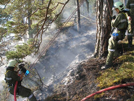 Waldbrand oberhalb Eigenhofen