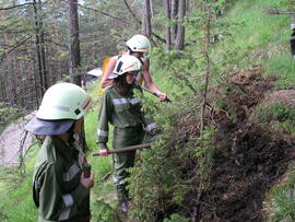 Waldbrand Hochzirl