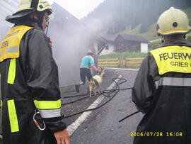 Brand eines Stadels nach Blitzschlag, Hilfeleistung für FF St. Sigmund, Rettung von Ziegen