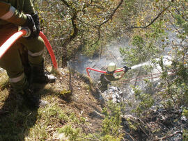 Waldbrand oberhalb Eigenhofen