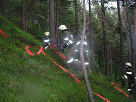 Waldbrand im Bereich Kaiserstand durch Blitzschlag