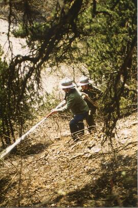 Waldbrand in der Schloßbachklamm, hinter Schießstand