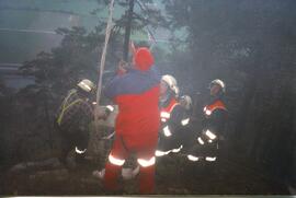 Waldbrand entlang der Mittenwaldbahn, 14 Brandstellen, von KM 7 bis 8,5