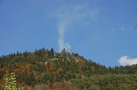 Waldbrand oberhalb Eigenhofen