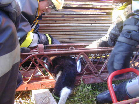 Original digitales Objekt not accessible