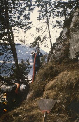 Waldbrand oberhalb Schießstand, Schloßbachklamm