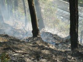 Waldbrand in Hochzirl oberhalb Mittenwaldbahn, Bahnkilometer 13,9