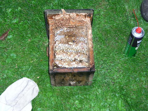 Original digitales Objekt not accessible