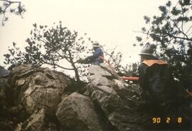 Waldbrand oberhalb Schießstand, Schloßbachklamm