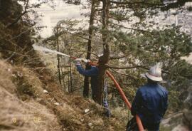 Waldbrand oberhalb Schießstand, Schloßbachklamm