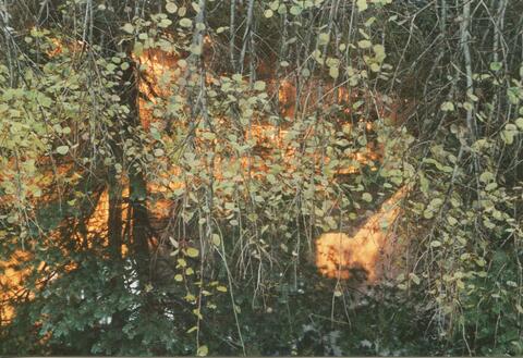 Original digitales Objekt not accessible