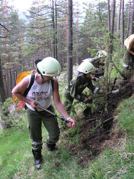 Waldbrand Hochzirl