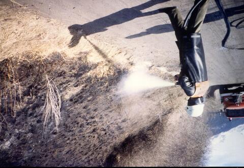 Original digitales Objekt not accessible