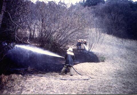 Original digitales Objekt not accessible